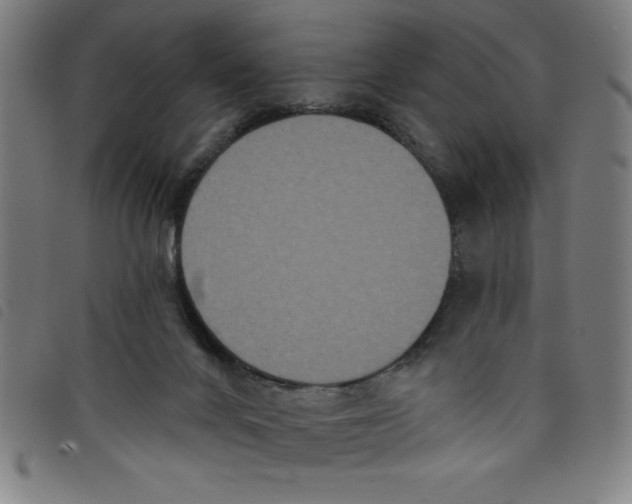 X0000097870024200804041601