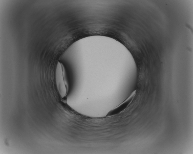 X0000097870025200804041601