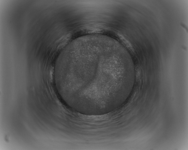 X0000097870026200804041601