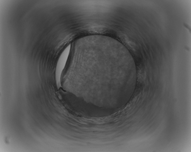 X0000097870027200804041601
