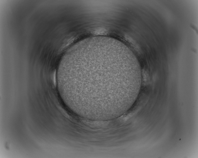 X0000097870028200804041601