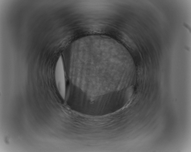 X0000097870029200804041601