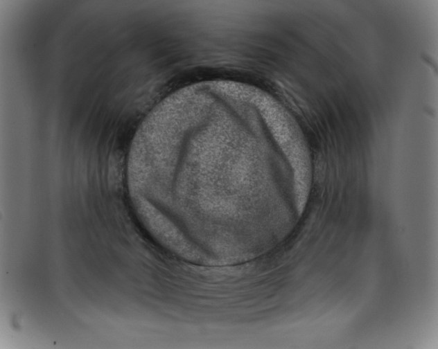 X0000097870030200804041601