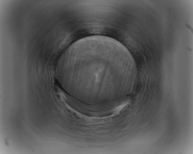 X0000097870031200804041601