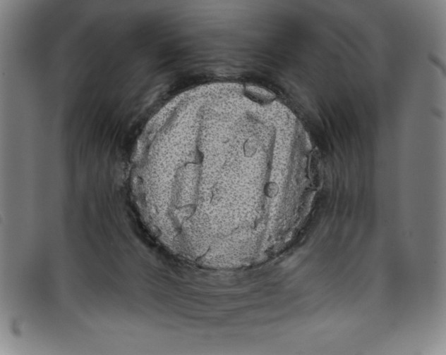X0000097870032200804041601