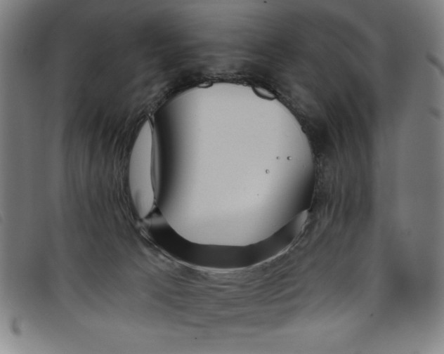 X0000097870033200804041601