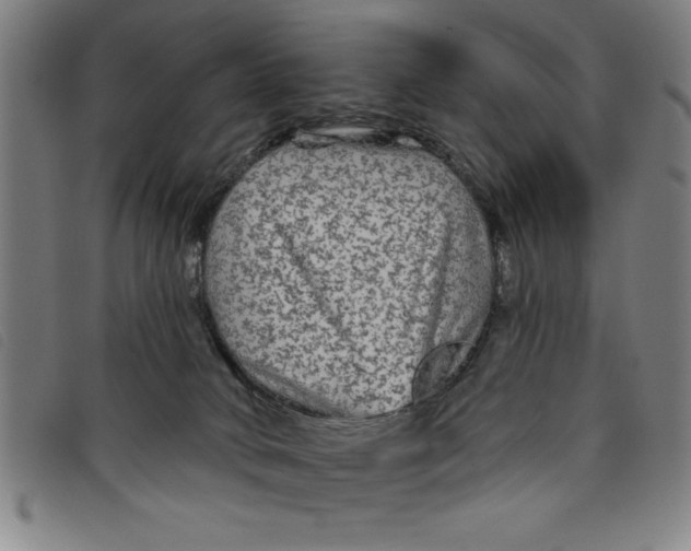 X0000097870034200804041601