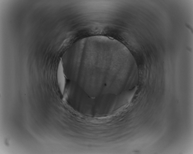 X0000097870035200804041601