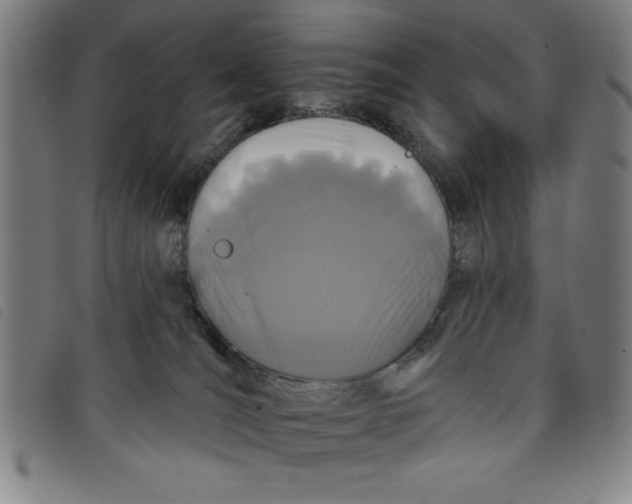 X0000097870036200804041601