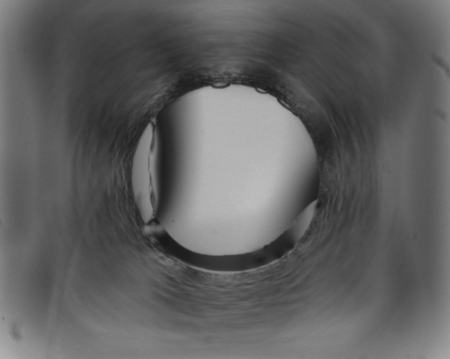 X0000097870037200804041601
