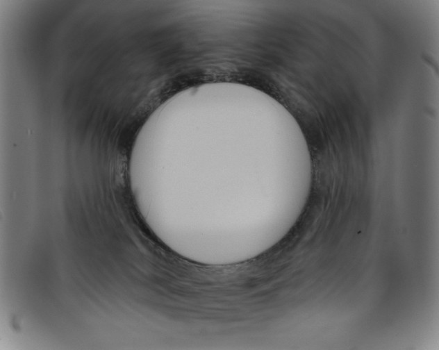 X0000097870038200804041601