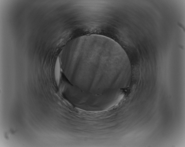 X0000097870039200804041601