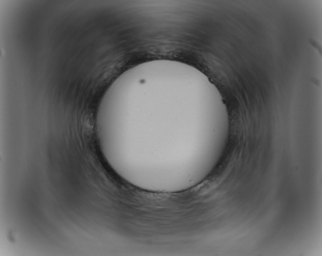 X0000097870040200804041601