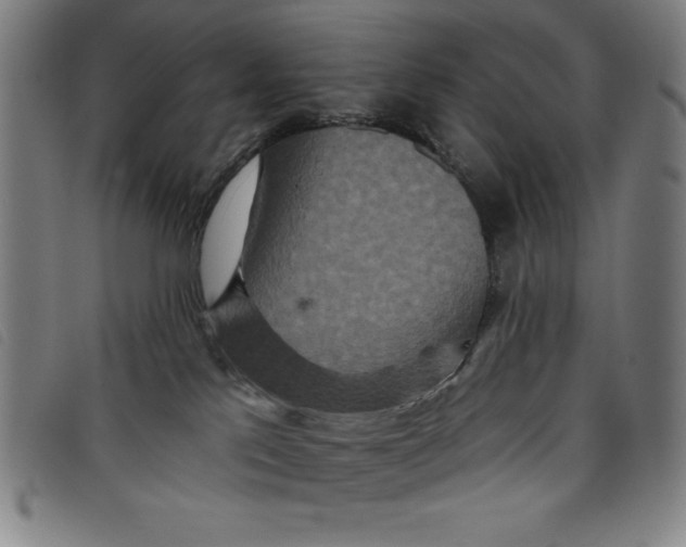 X0000097870041200804041601