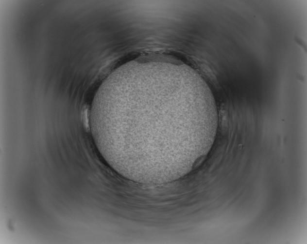 X0000097870042200804041601