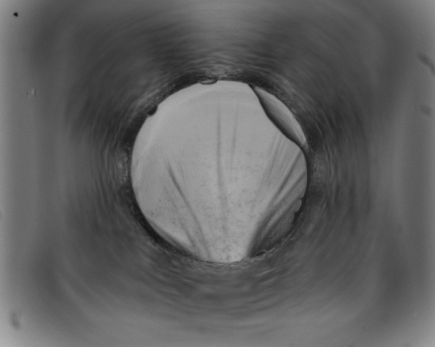 X0000097870043200804041601
