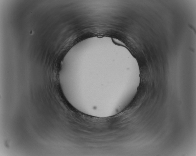 X0000097870044200804041601