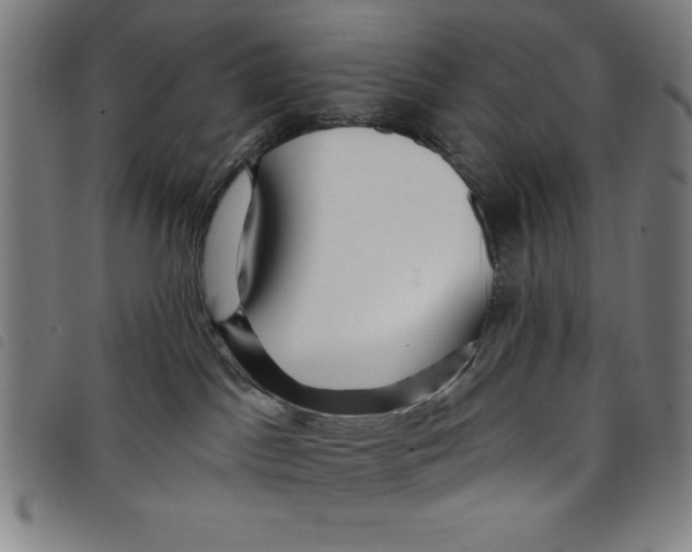 X0000097870045200804041601