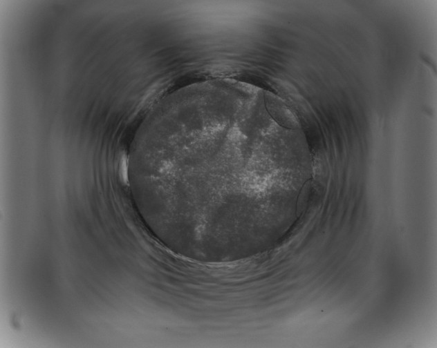 X0000097870046200804041601