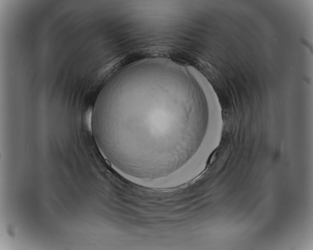 X0000097870047200804041601