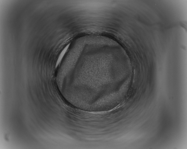 X0000097870048200804041601