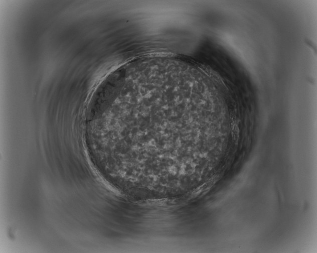 X0000097870049200804041600