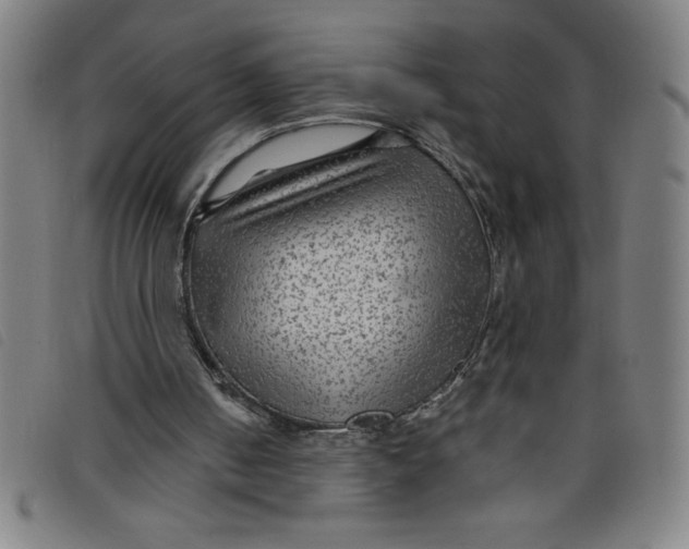 X0000097870050200804041600