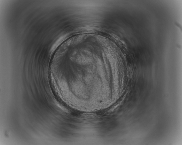 X0000097870051200804041600