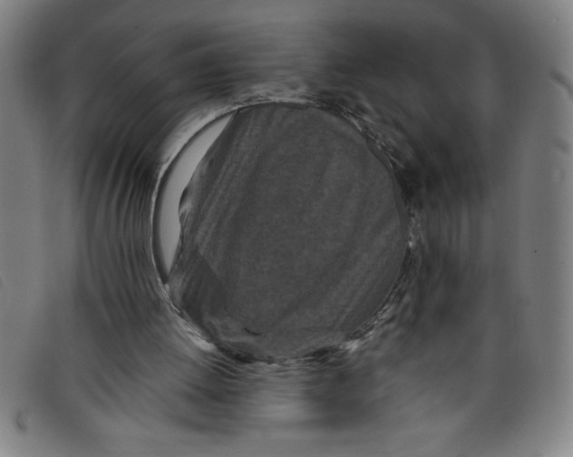 X0000097870052200804041600