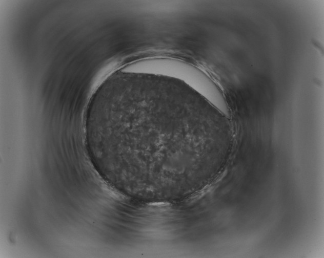 X0000097870053200804041600