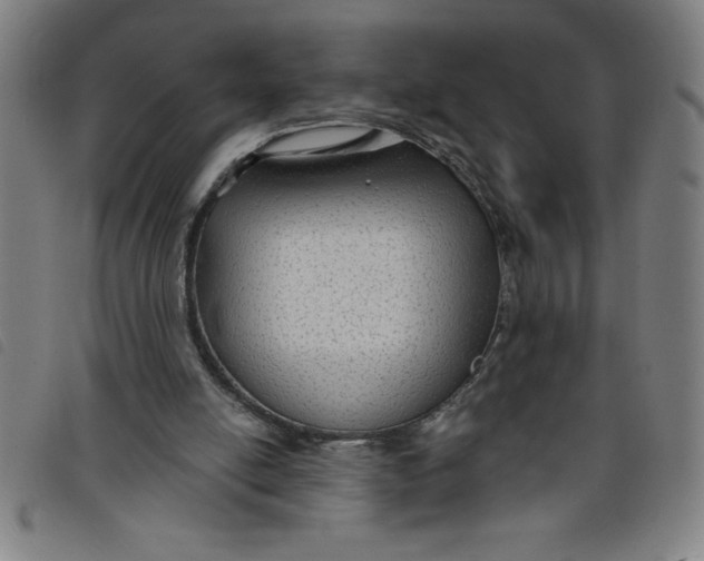 X0000097870054200804041600