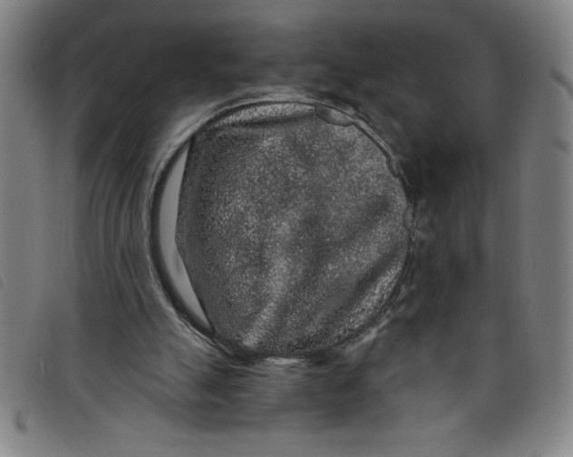 X0000097870055200804041600