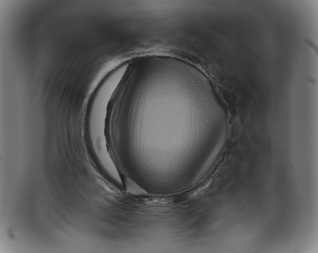 X0000097870056200804041600