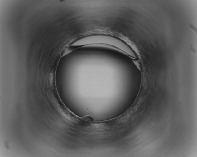 X0000097870057200804041600