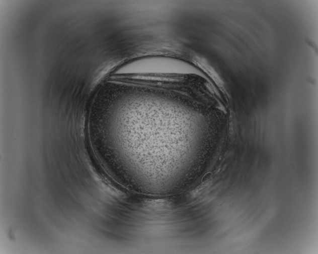 X0000097870058200804041600