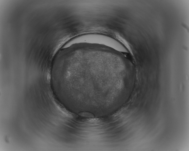 X0000097870059200804041600