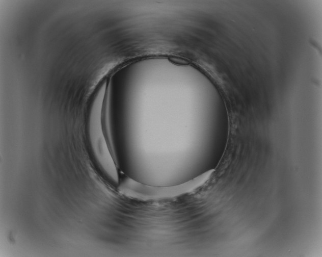 X0000097870060200804041600