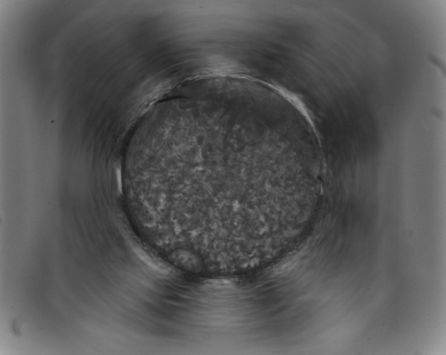 X0000097870061200804041600