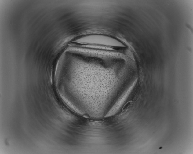 X0000097870062200804041600