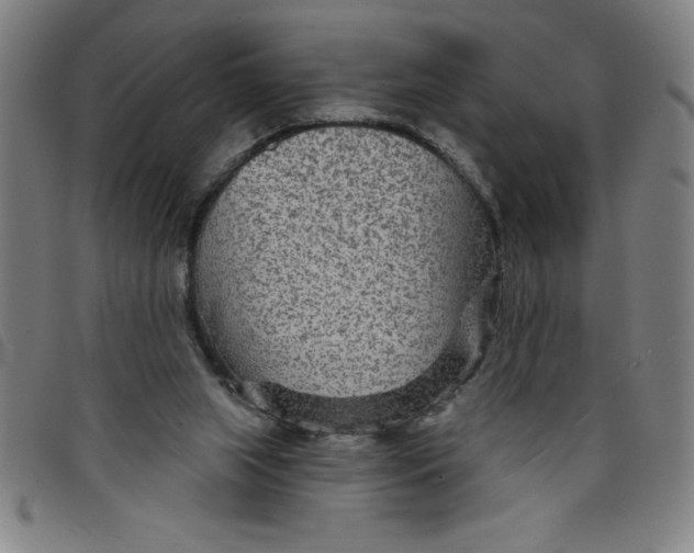 X0000097870063200804041600