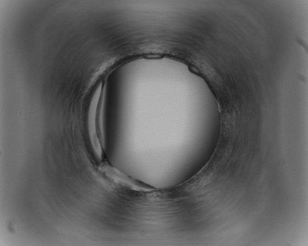X0000097870064200804041600