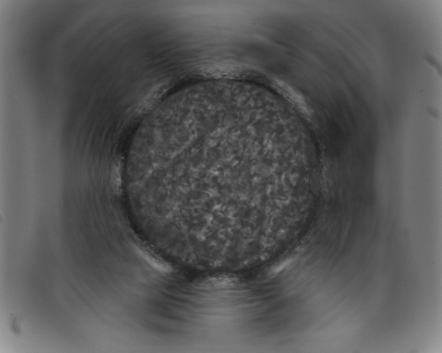 X0000097870065200804041600