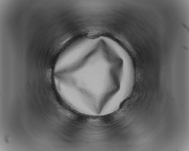 X0000097870066200804041600