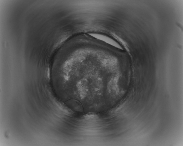 X0000097870067200804041600