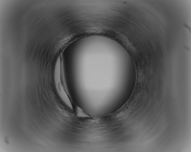 X0000097870068200804041600