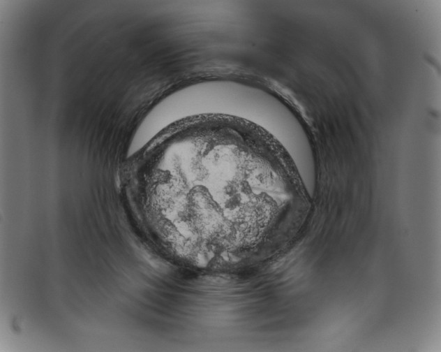 X0000097870069200804041600