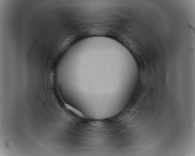 X0000097870071200804041600