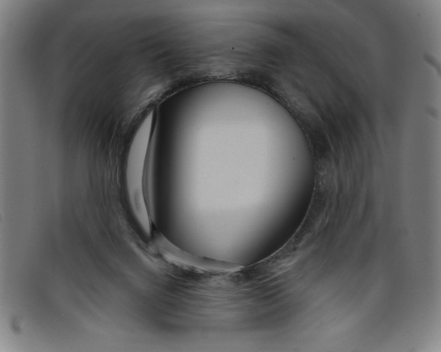 X0000097870072200804041600