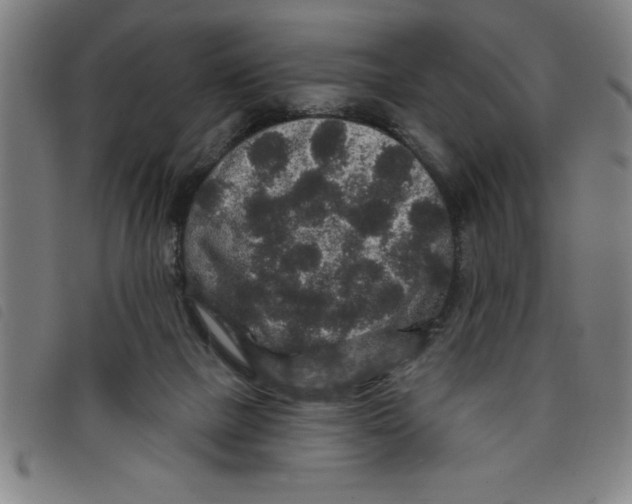 X0000097870073200804041600