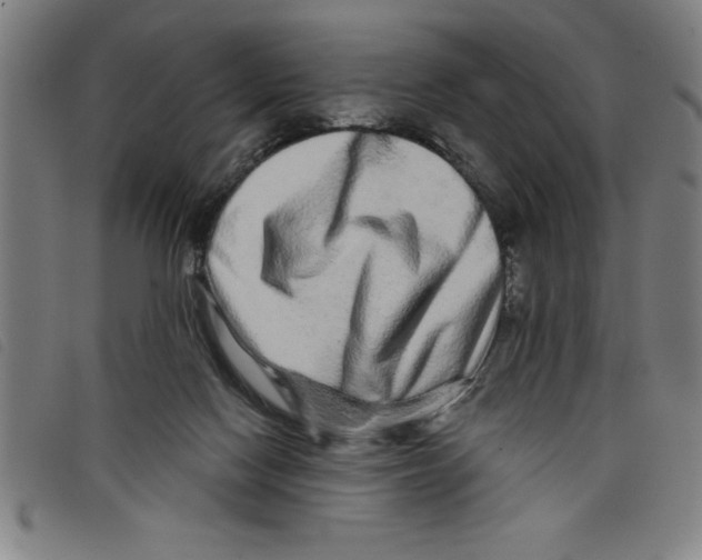 X0000097870074200804041600